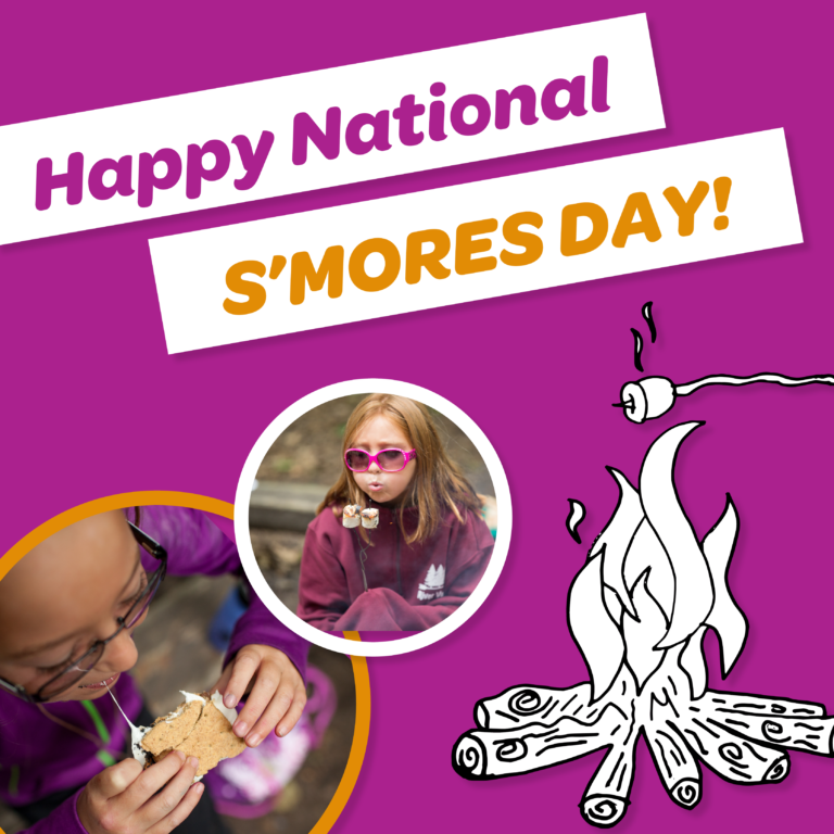 5 Fun Facts about S'mores Girl Scouts River Valleys Volunteers