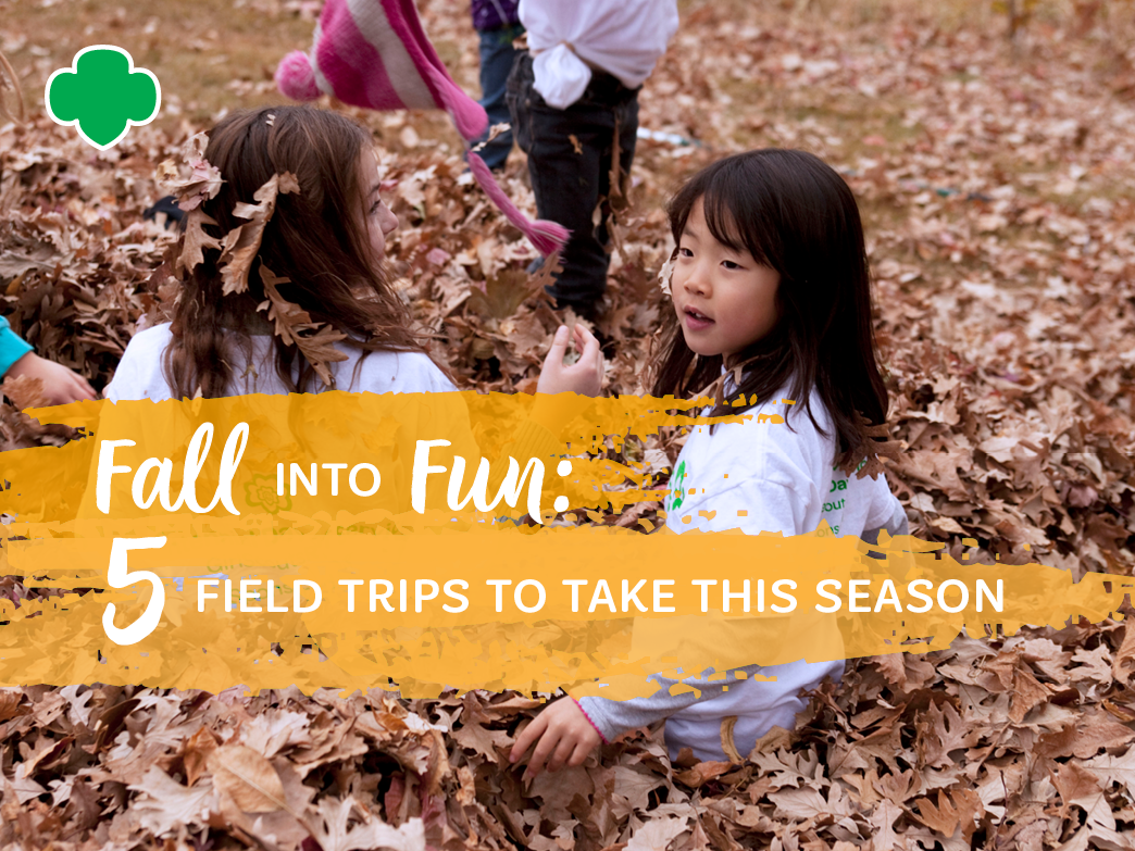 Fall into Fun: 5 Field Trips to Take This Season